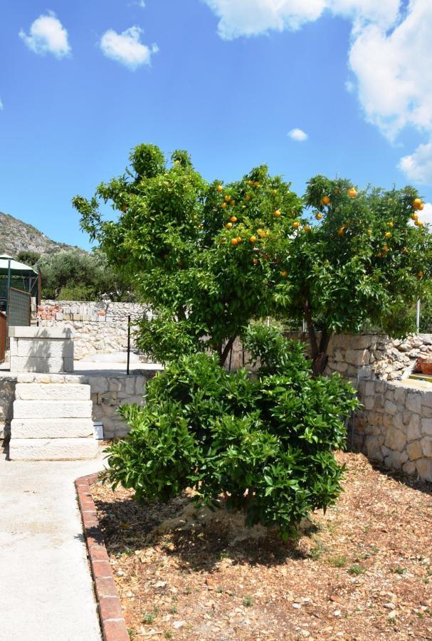 Marta II Your Holiday Home In Seget Center Trogir Kültér fotó